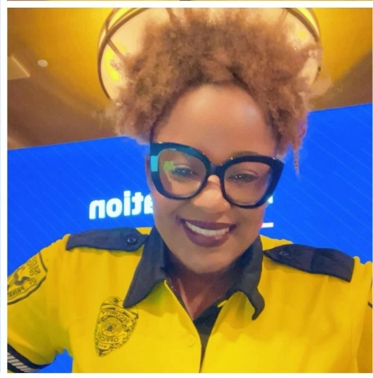 Remote camera monitoring